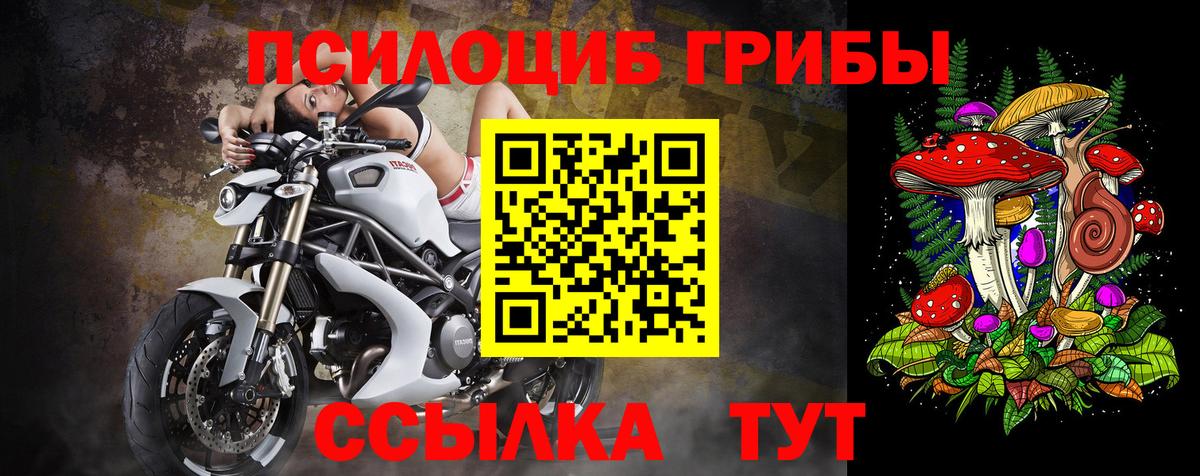 Лангепас  Псилоцибиновые грибы прущие грибы  Вход с VPN 